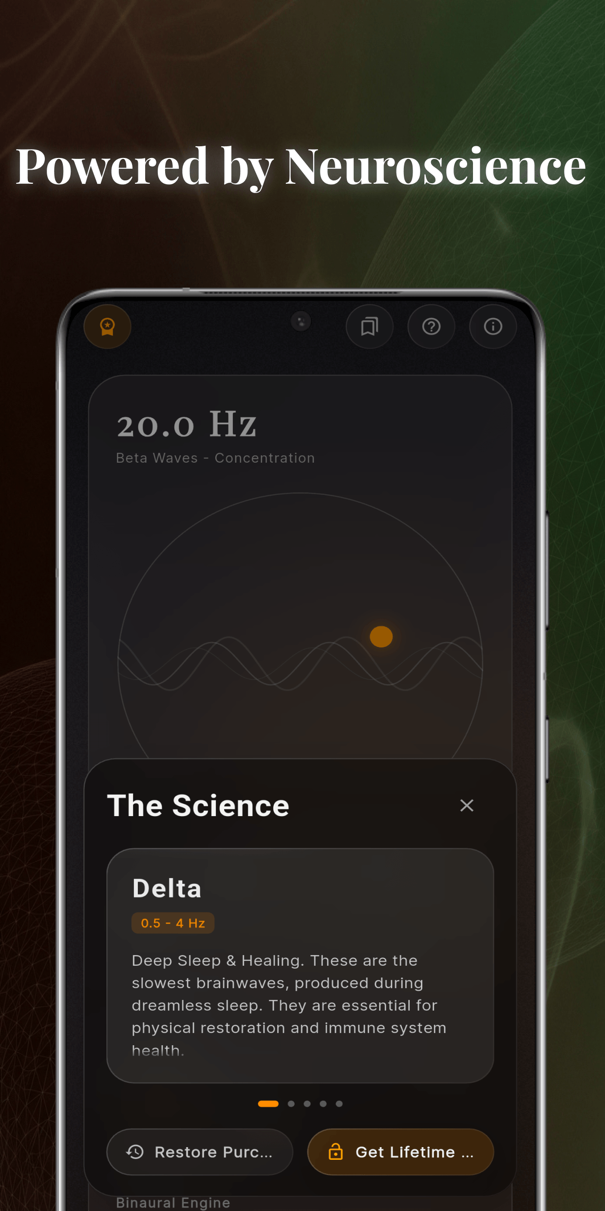 Privacy-First Offline Experience